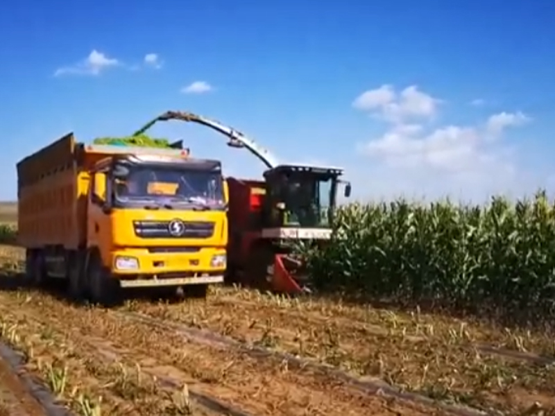 轮式豪华版·收割玉米视频·内蒙